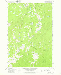 Buffalo Hump 1979 topographic map thumbnail