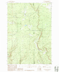 Buffalo Lake 1986 topographic map thumbnail