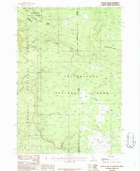 Buffalo Lake NE 1986 topographic map thumbnail