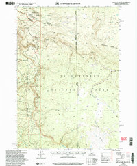 Buffalo Lake NE 2000 topographic map thumbnail