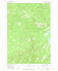Bull Trout Point 1972 topographic map preview