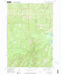 Bull Trout Point 1972 topographic map thumbnail