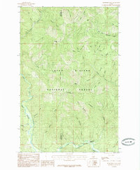 Bumblebee Peak 1985 topographic map thumbnail