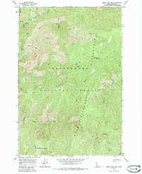 Burnt Strip Mtn topographic map thumbnail