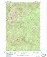 Burnt Strip Mtn 1966 topographic map thumbnail