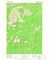 Burnt Strip Mtn 1966 topographic map thumbnail