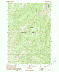 Butterfield Gulch 1990 topographic map thumbnail