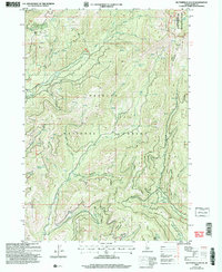 Butterfield Gulch 2004 topographic map thumbnail