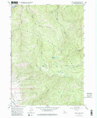 Casino Lakes 1963 topographic map thumbnail