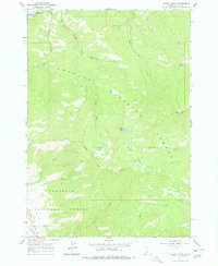 Casino Lakes 1963 topographic map thumbnail