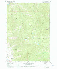 Casino Lakes 1963 topographic map thumbnail