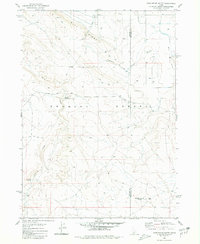 Castleford Butte 1980 topographic map thumbnail