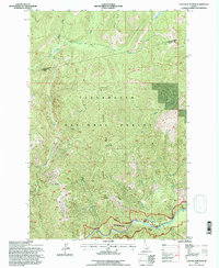 Cayuse Junction 1994 topographic map thumbnail