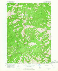 Cayuse Point 1964 topographic map thumbnail