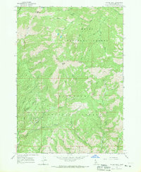 Cayuse Point 1964 topographic map thumbnail