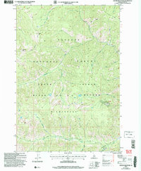 Center Mountain 2004 topographic map thumbnail