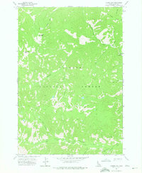Center Mtn topographic map thumbnail