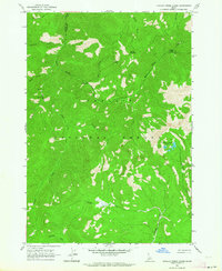 Challis Creek Lakes 1963 topographic map thumbnail