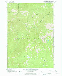 Challis Creek Lakes 1963 topographic map thumbnail