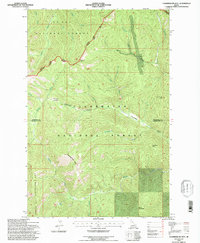 Chamberlain Mtn topographic map thumbnail
