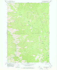 Chicken Peak 1978 topographic map thumbnail