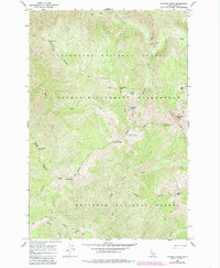 Chimney Peak 1966 topographic map thumbnail