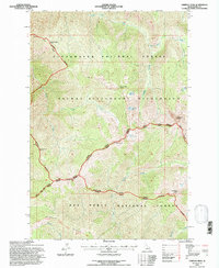 Chimney Peak 1994 topographic map thumbnail