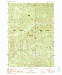Chinook Mountain 1990 topographic map thumbnail