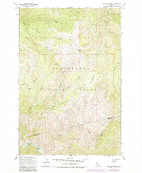 Cook Mountain 1965 topographic map thumbnail