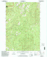 Corral Hill 1995 topographic map thumbnail