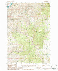 Cuddy Mountain 1987 topographic map thumbnail