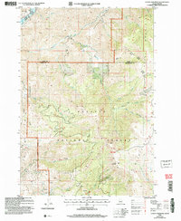 Cuddy Mountain 2004 topographic map thumbnail