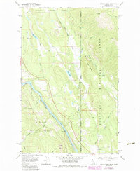 Curley Creek 1965 topographic map thumbnail