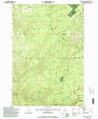 Dairy Mountain 1995 topographic map thumbnail