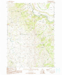 Danskin Peak 1990 topographic map thumbnail