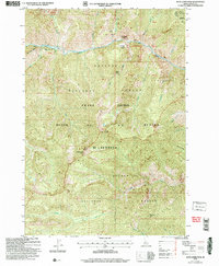 Dave Lewis Peak 2004 topographic map thumbnail