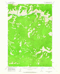 Dave Lewis Peak 1962 topographic map preview