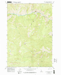 Dave Lewis Peak 1962 topographic map preview