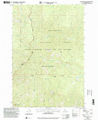 Dennis Mountain 1998 topographic map thumbnail