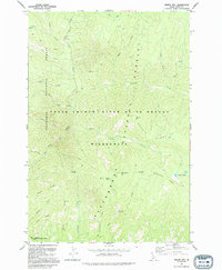 Dennis Mtn topographic map thumbnail