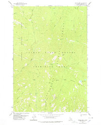 Dennis Mtn 1978 topographic map thumbnail