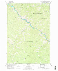 Devils Teeth Rapids 1978 topographic map preview