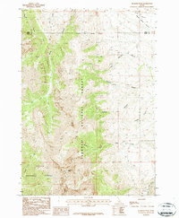 Diamond Peak 1987 topographic map thumbnail