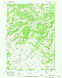 Dollarhide Mtn topographic map thumbnail