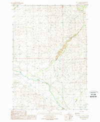 East of Salmon 1989 topographic map thumbnail