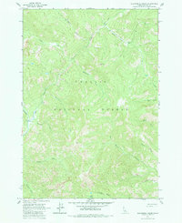 Elevenmile Creek 1963 topographic map thumbnail