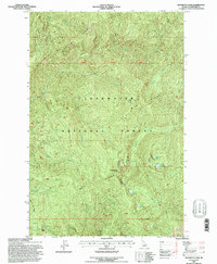 Elizabeth Lake 1994 topographic map thumbnail