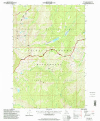 Fish Lake 1995 topographic map thumbnail