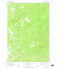 Fitsum Peak 1973 topographic map thumbnail