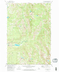 Fitsum Summit 1973 topographic map thumbnail